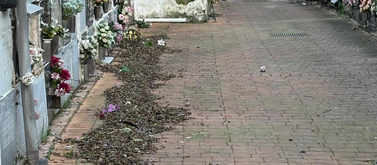 Suciedad en el cementerio de San Rafael (Córdoba)