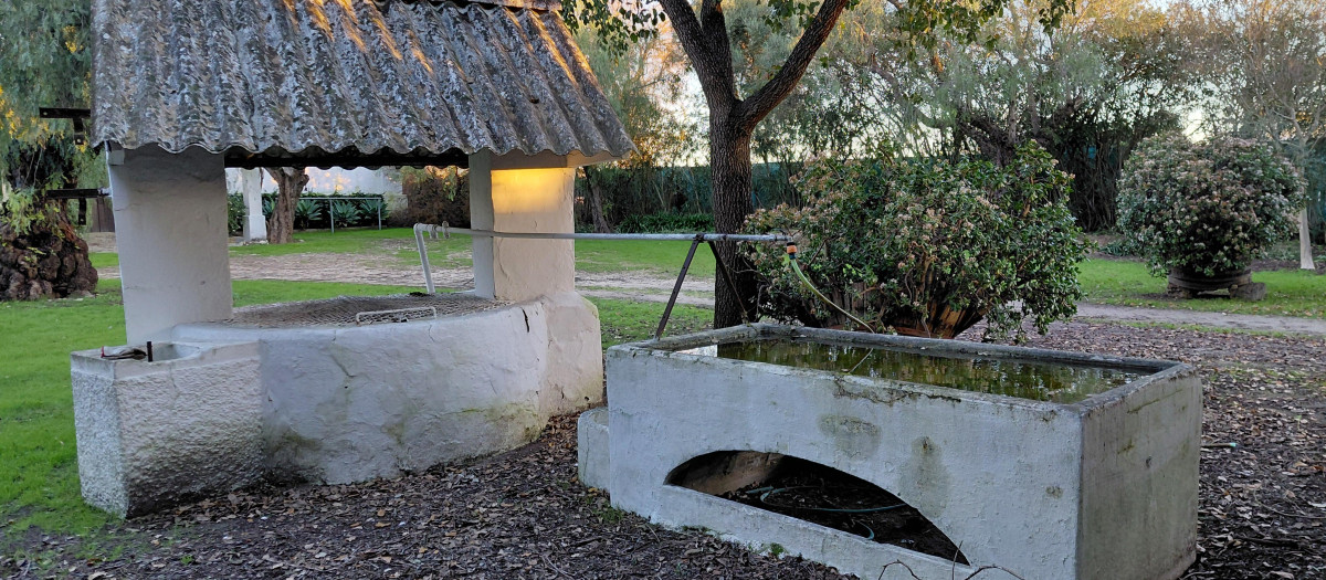 Imagen de un abrevadero