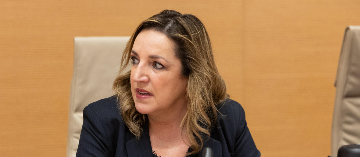 Imagen de Victoria Roselló tomada este lunes en el Congreso