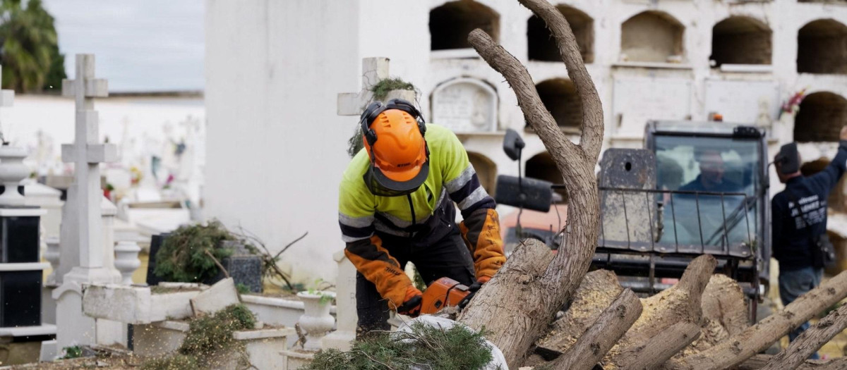 Operarios del Ayuntamiento trabajan en el cementerio de Sevilla tras el temporal