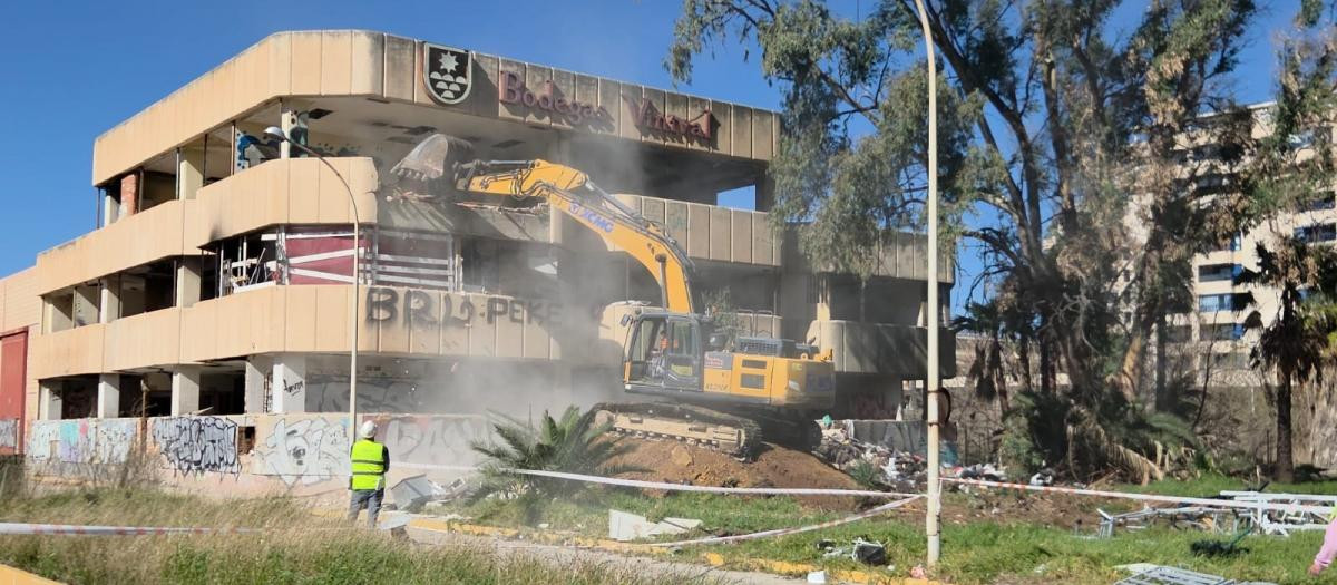 Imagen del inicio de los derribos de las Bodegas Vinival