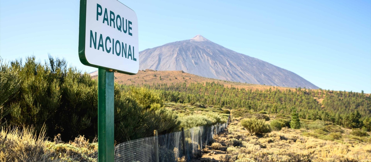 El Cabildo de Tenerife celebra que "prevalezca la cordura" tras la suspensión de la protesta en el Teide