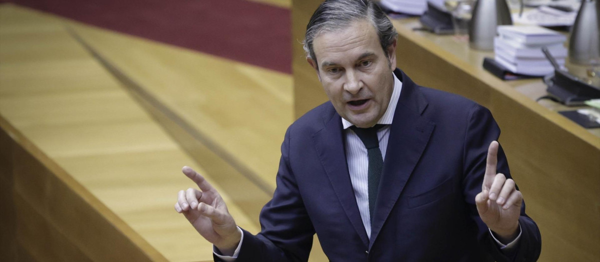 Imagen de archivo del portavoz del PP en las Cortes Valencianas, Nando Pastor