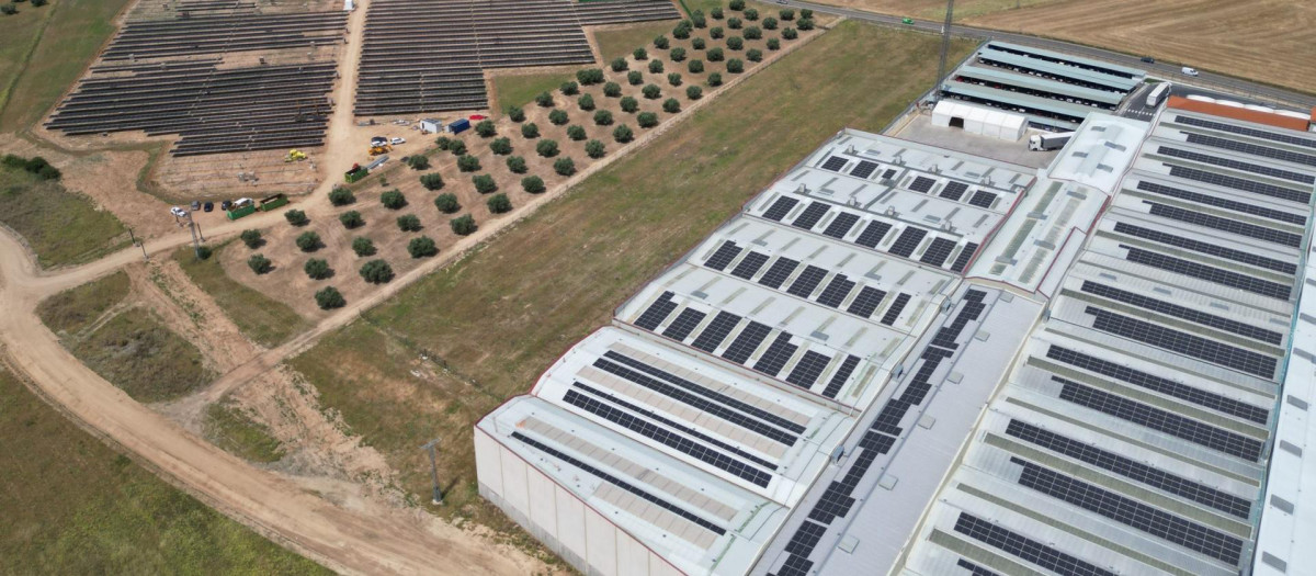 Laboratorios Indas, Novés