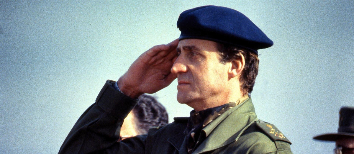 El Rey Juan Carlos en 1982