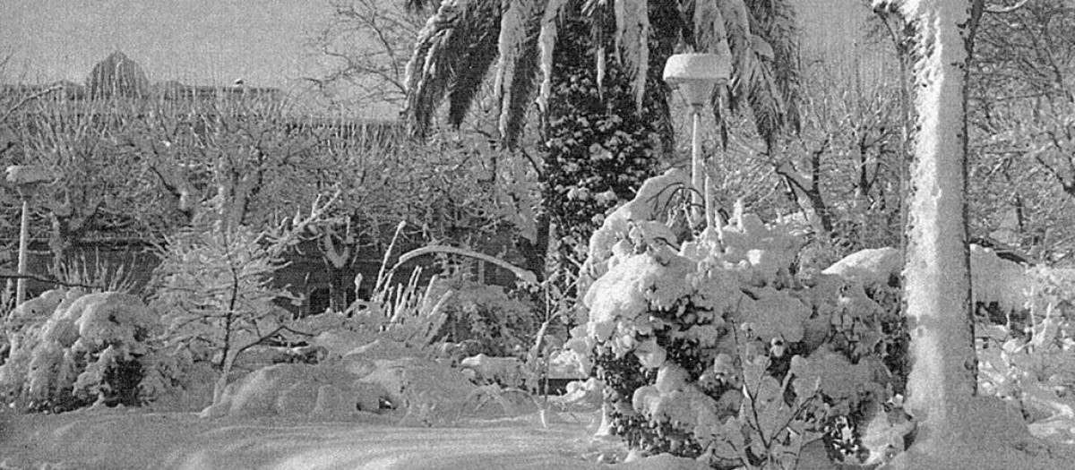 Jardín de la Plaza de la Estación de Figueras (Gerona)