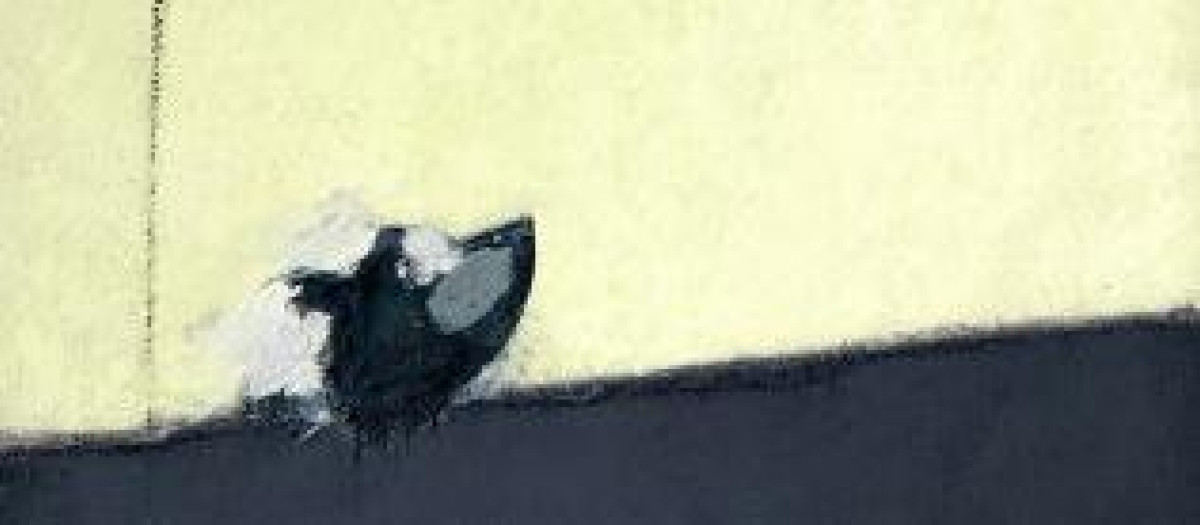 Detalle de El perro III