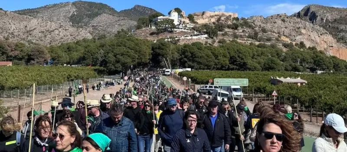 Imagen de archivo de la Romería de les Canyes, Fiestas de la Magdalena de Castellón de 2025