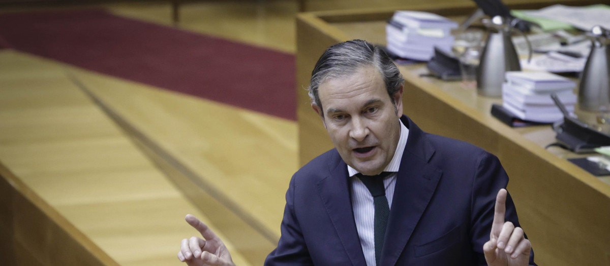 Imagen del portavoz del PP en las Cortes Valencianas, Nando Pastor