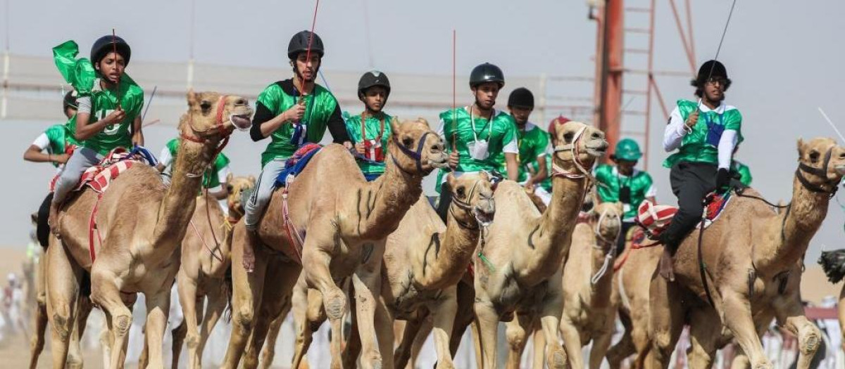 Carrera de camellos en el Golfo Përsico