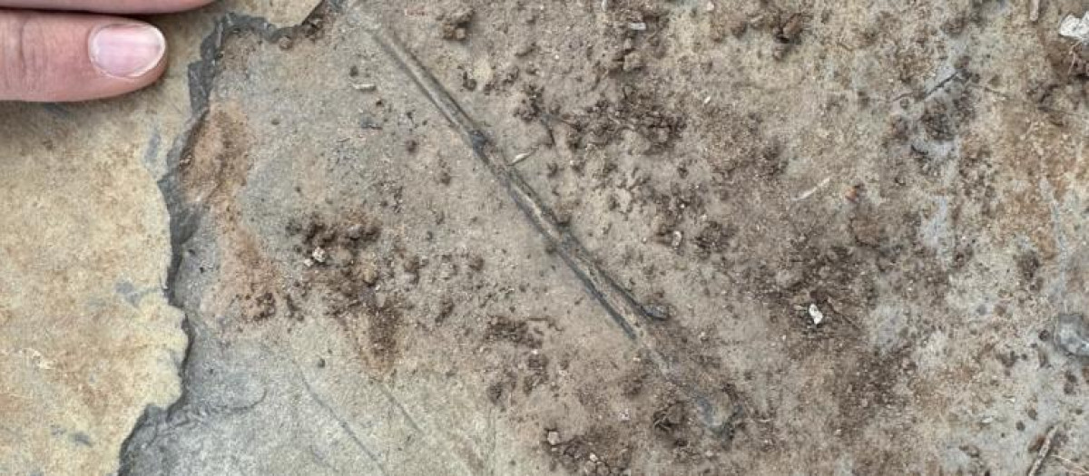 Falange alar de pterosaurio en el momento de su descubrimiento en el yacimiento “El Pozo”