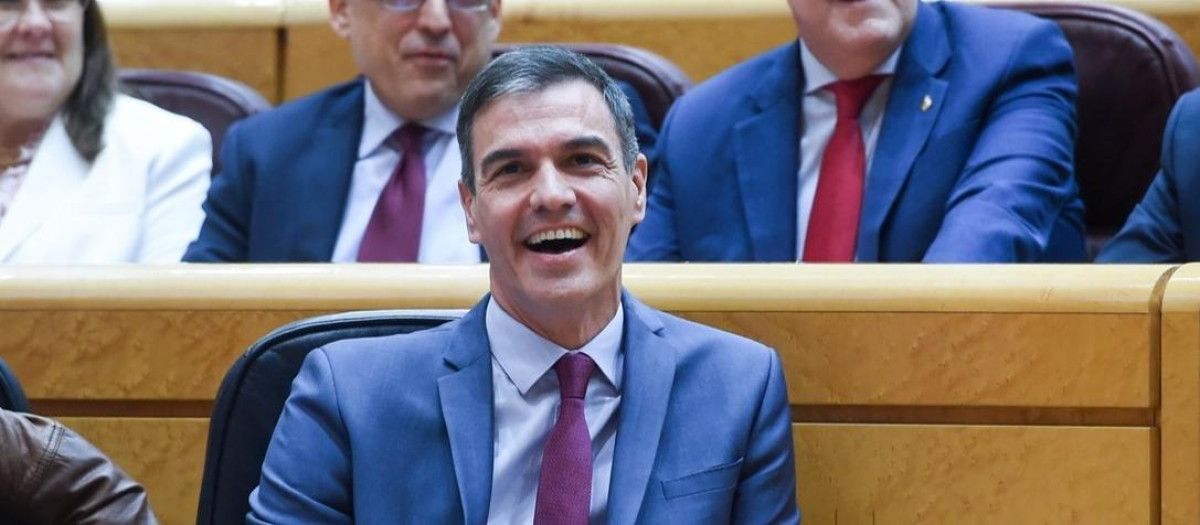 el presidente del Gobierno, Pedro Sánchez (2i), durante una sesión de control al Gobierno, en el Senado, a 12 de marzo de 2024