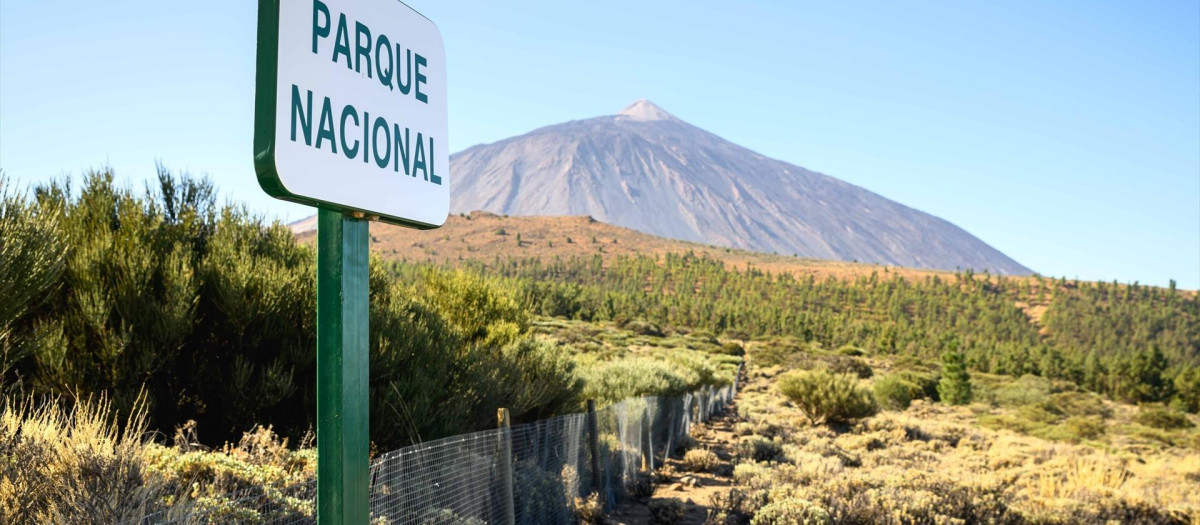 Parque Nacional del Teide, en Tenerife