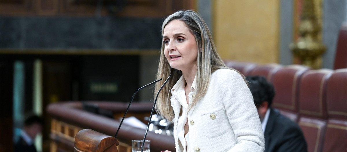 La diputada del PP Maribel Sánchez, encargada de defender la iniciativa