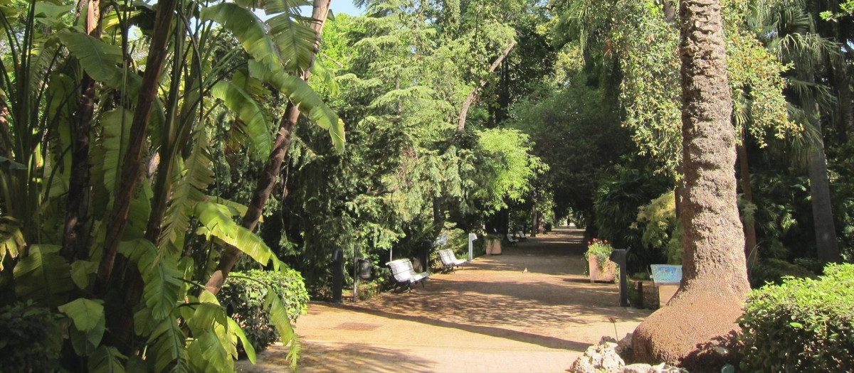 Imagen de archivo del Jardín Botánico De Valencia


25/6/2017