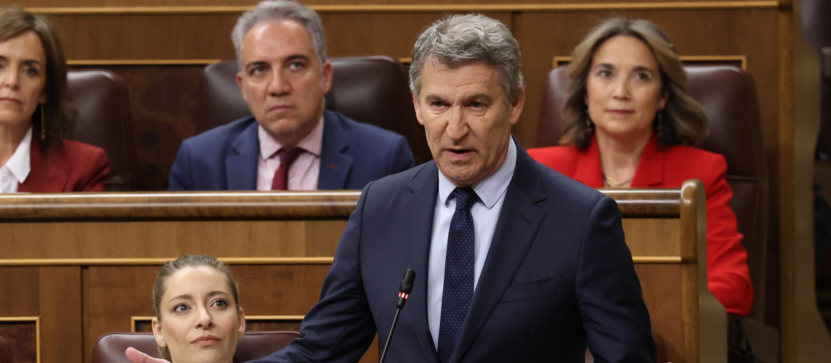 El presidente del Partido Popular, Alberto Núñez Feijóo, interviene durante una sesión de control al Gobierno