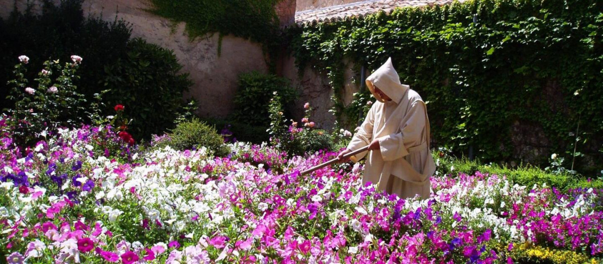 «Fijar en Él (en Dios) la mirada y el corazón, que llamamos contemplación, es el acto más alto y más pleno del espíritu, el acto que puede y debe jerarquizar la inmensa pirámide de la actividad humana» —Pablo VI
