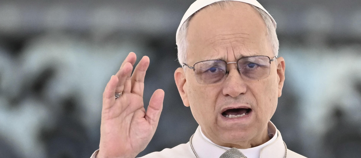 León XIV durante una audiencia