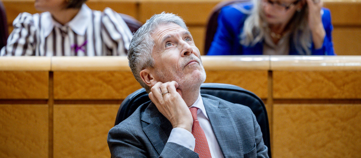 El ministro del Interior, Fernando Grande-Marlaska, en el Senado