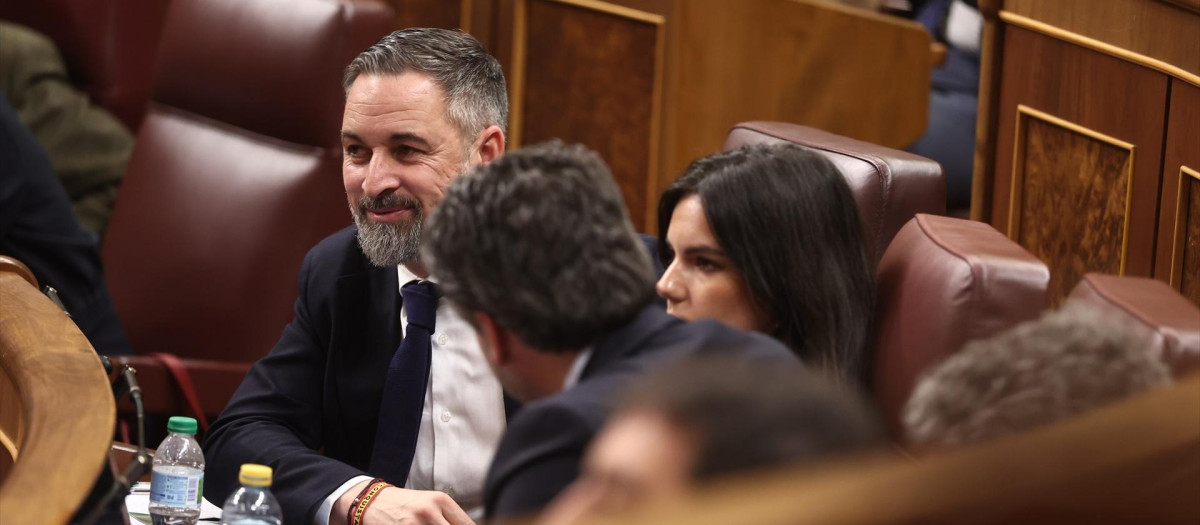 (Foto de ARCHIVO)
El presidente de Vox, Santiago Abascal, en el hemiciclo del Congreso de los Diputados