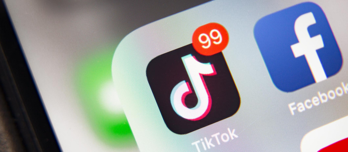 TikTok elimina 6 millones de cuentas al mes
