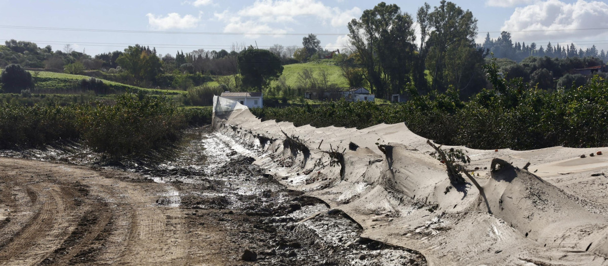 Zonas agrícolas afectadas por el tren de borrascas en Jerez de la Frontera (Cádiz).