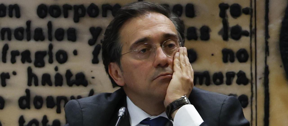 El ministro de Asuntos Exteriores, José Manuel Albares comparece en en el Senado