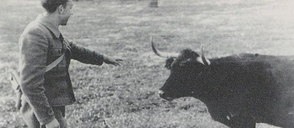 Miguel Hernández en la campiña andaluza