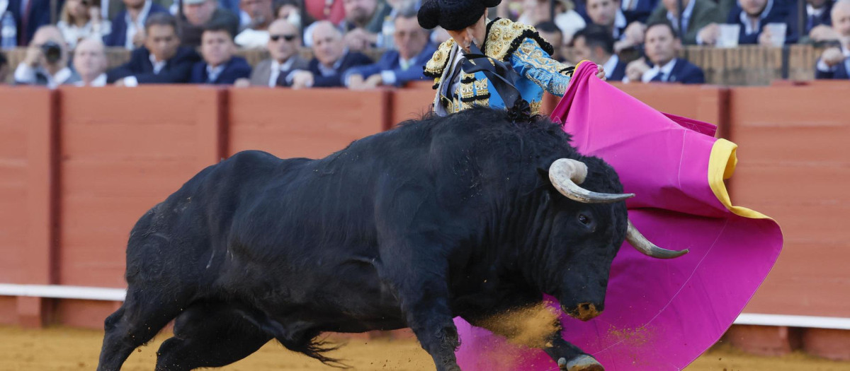 Miguel Ángel Perera, con el cuarto de la tarde, este miércoles en Sevilla