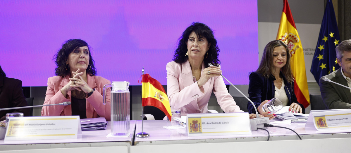 La ministra de Igualdad, en una conferencia sectorial del ramo celebrada esta semana con las comunidades