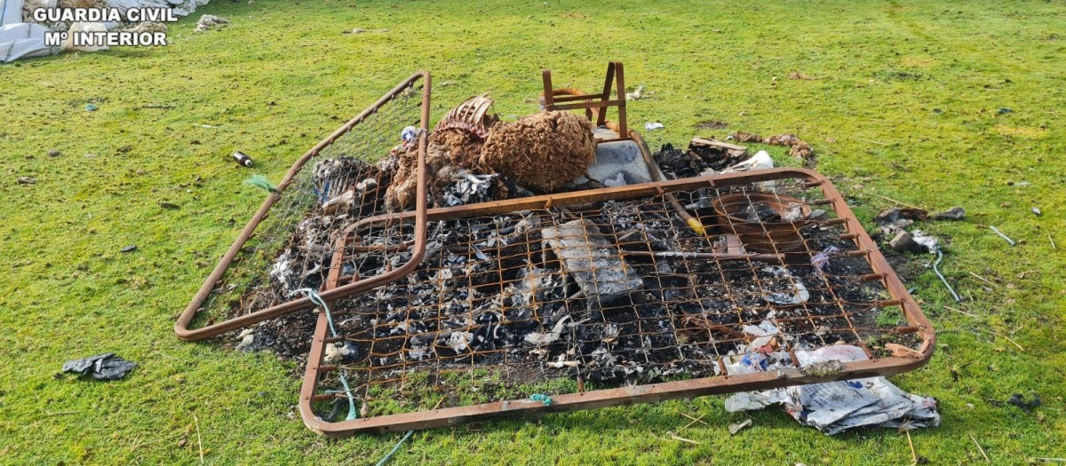 Investigado el dueño de una explotación ganadera de Salamanca
