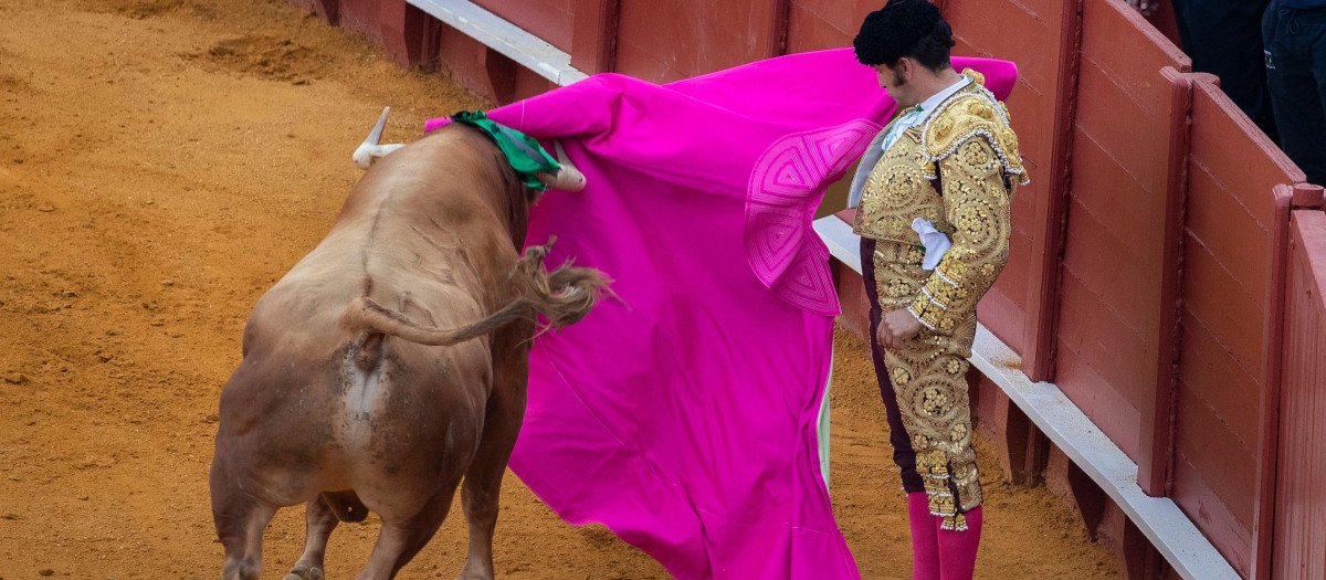 Morante de la Puebla con el capote a una mano el pasado jueves en Sevilla