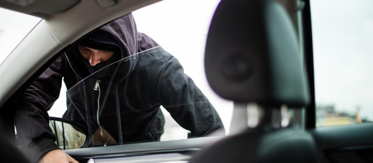Thief stealing a purse from the car from the car's back window