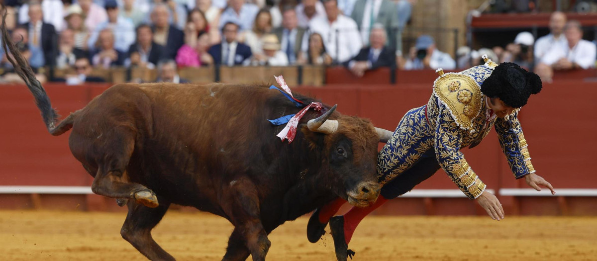 El toro, de nombre Clandestino y 512 kilos, le hirió gravemente con una cornada de 10 centímetros que entró por el glúteo