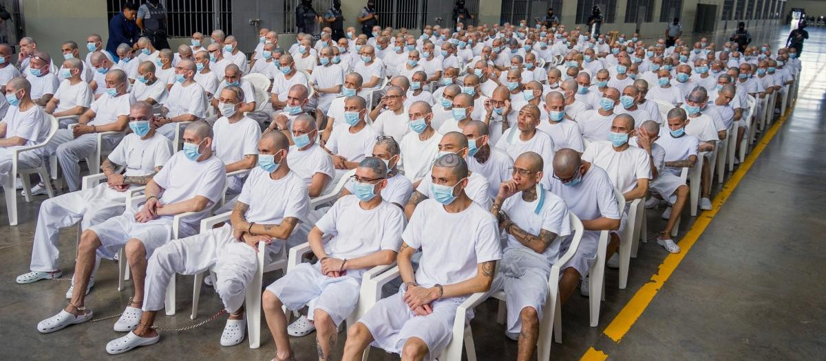 This handout photo released by the El Salvador Attorney General's Office on April 20, 2026, shows alleged members of the Mara Salvatrucha (MS-13) during a remote court hearing via video link from the Counter-Terrorism Confinement Center (CECOT) mega-prison in Tecoluca, El Salvador. Around 490 alleged members of the powerful Central American gang Mara Salvatrucha (MS-13), including its leaders, have gone on trial collectively in El Salvador, the Attorney General's office and courts said on April 20. (Photo by Handout / El Salvador Attorney General's Office / AFP) / RESTRICTED TO EDITORIAL USE - MANDATORY CREDIT "AFP PHOTO / EL SALVADOR ATTORNEY GENERAL'S OFFICE" - NO MARKETING NO ADVERTISING CAMPAIGNS - DISTRIBUTED AS A SERVICE TO CLIENTS