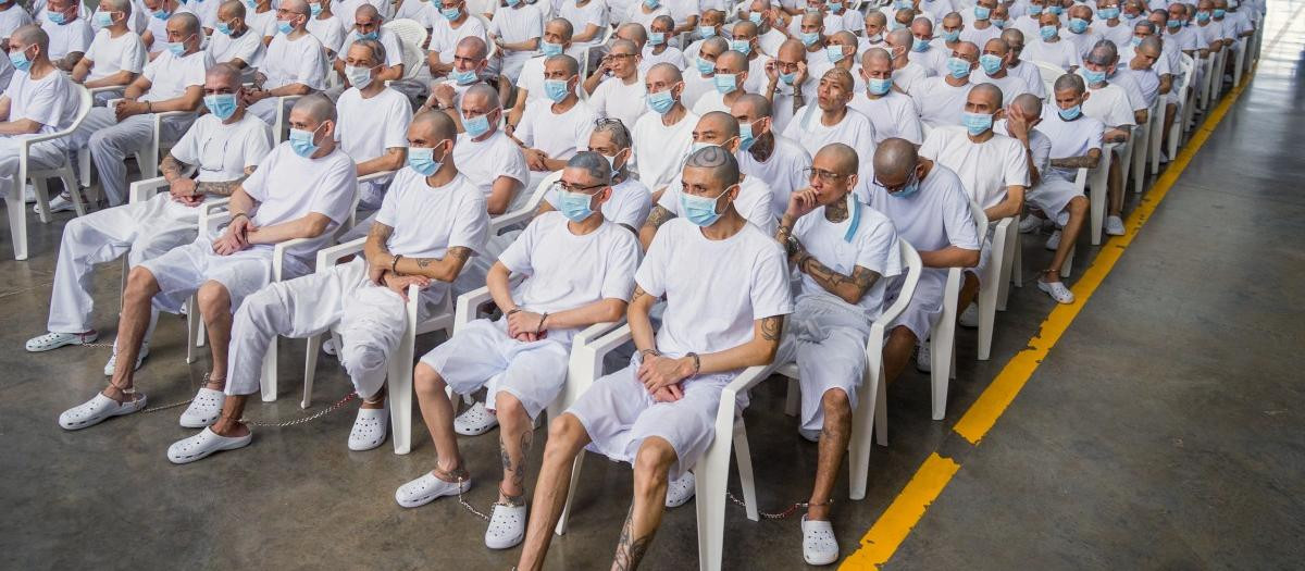 This handout photo released by the El Salvador Attorney General's Office on April 20, 2026, shows alleged members of the Mara Salvatrucha (MS-13) during a remote court hearing via video link from the Counter-Terrorism Confinement Center (CECOT) mega-prison in Tecoluca, El Salvador. Around 490 alleged members of the powerful Central American gang Mara Salvatrucha (MS-13), including its leaders, have gone on trial collectively in El Salvador, the Attorney General's office and courts said on April 20. (Photo by Handout / El Salvador Attorney General's Office / AFP) / RESTRICTED TO EDITORIAL USE - MANDATORY CREDIT "AFP PHOTO / EL SALVADOR ATTORNEY GENERAL'S OFFICE" - NO MARKETING NO ADVERTISING CAMPAIGNS - DISTRIBUTED AS A SERVICE TO CLIENTS