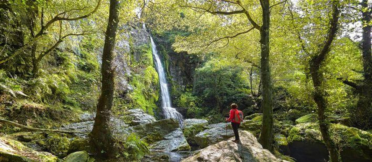 Monumento Natural de las Cascadas de Oneta (Asturias)