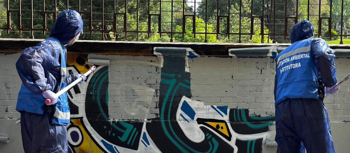 Grafiteros realizan tareas de limpieza en el Parque de la Bombilla