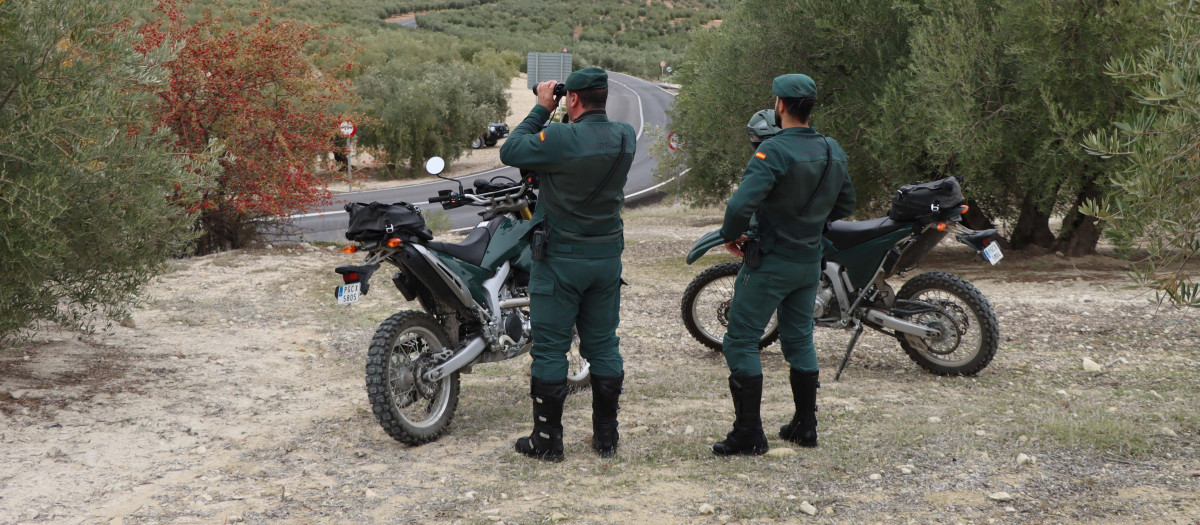 Agentes del Seprona