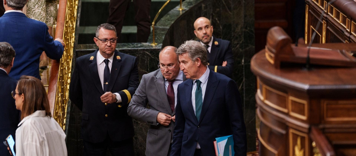 El presidente del PP, Alberto Núñez Feijóo, y el secretario general, Miguel Tellado