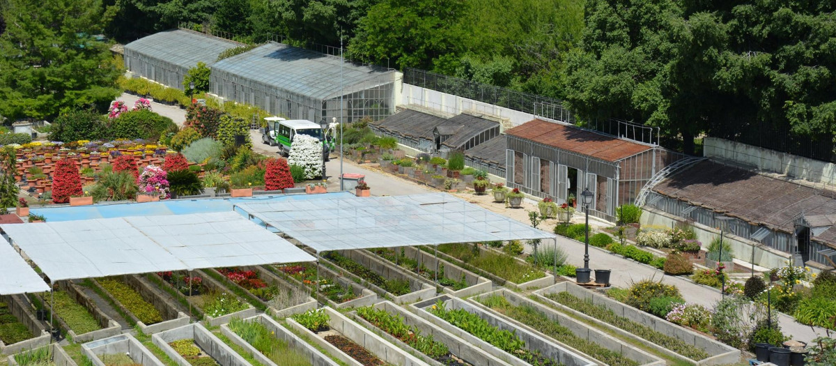 Vivero de Estufas del Retiro