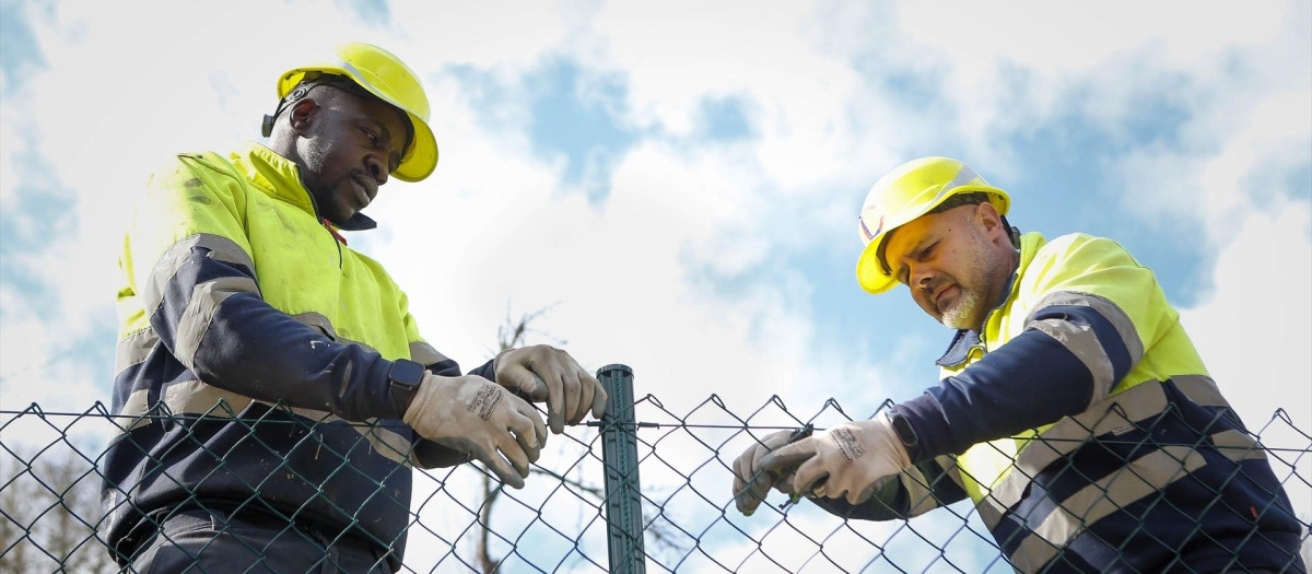 El trabajador senegalés Assane Camara (i) durante su jornada laboral, a 27 de febrero de 2025, en Cervantes, Lugo, Galicia (España). Assane Camara, sengalés de nacimiento, llegó el pasado mes de agosto al centro de migrantes de Becerreá (Lugo). Actualmente ya se encuentra trabajando y desea establecerse en la montaña lucense.

Carlos Castro / Europa Press
27 FEBRERO 2025;TRABAJO;SENEGALÉS
27/2/2025
