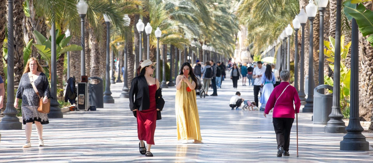 Imagen de archivo del paseo de la Explanada (Alicante)