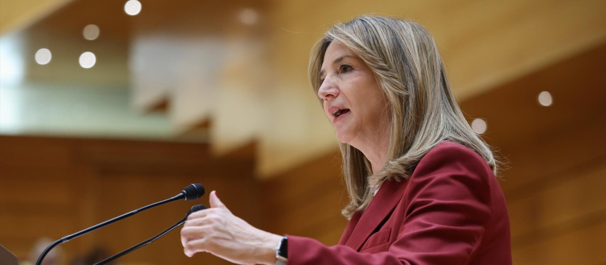 La portavoz del PP en el Senado, Alicia García