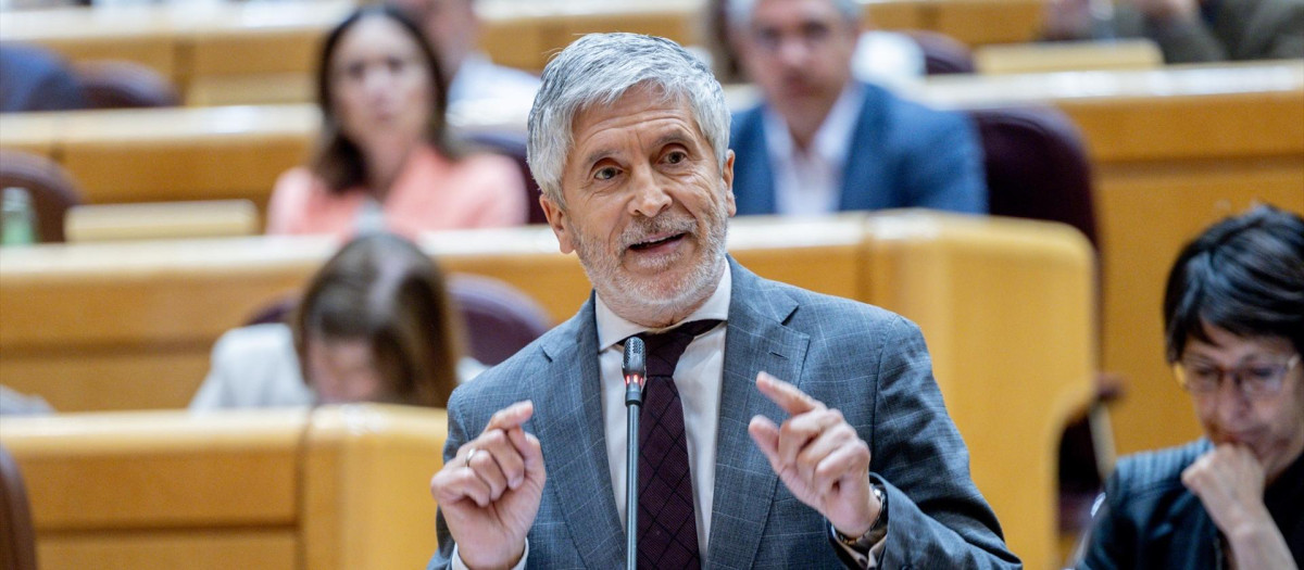 El ministro del Interior, Fernando Grande Marlaska, en el Senado