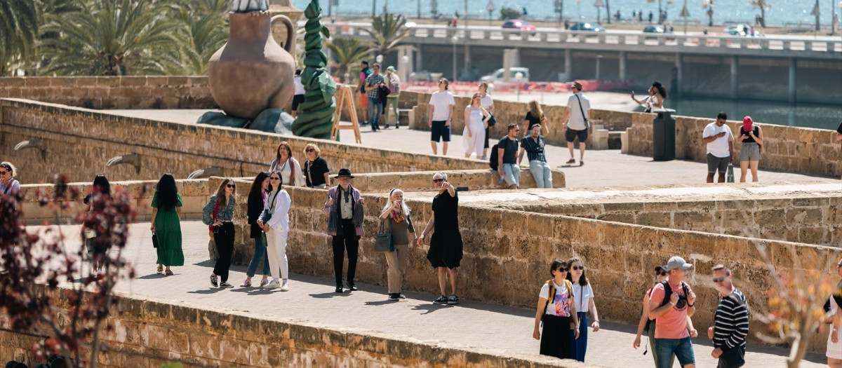Turistas en las inmediaciones de la catedral de Palma de Mallorca
