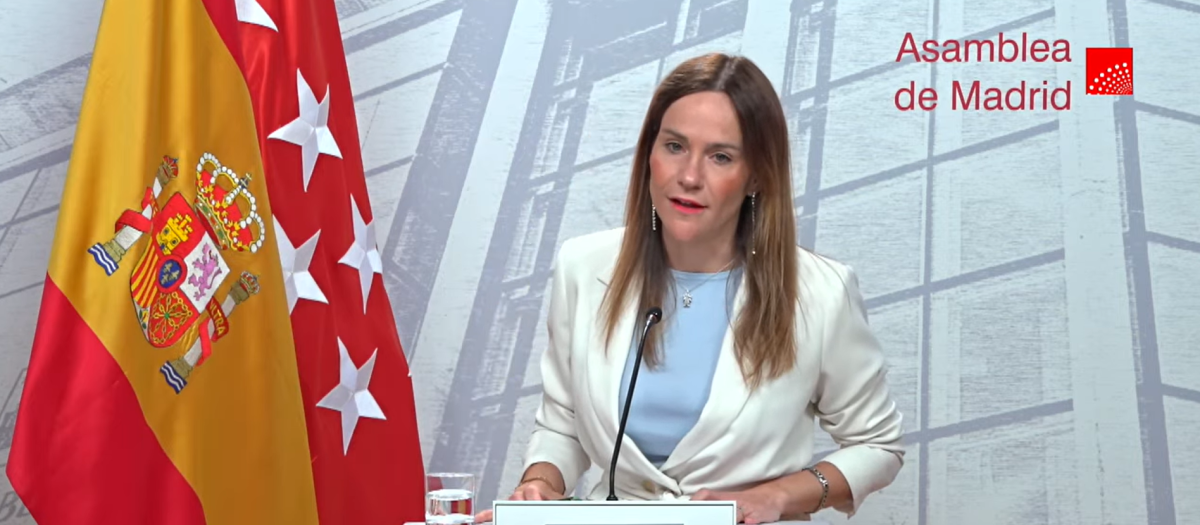 La portavoz de Vox en la Asamblea de Madrid, Isabel Pérez Moñino