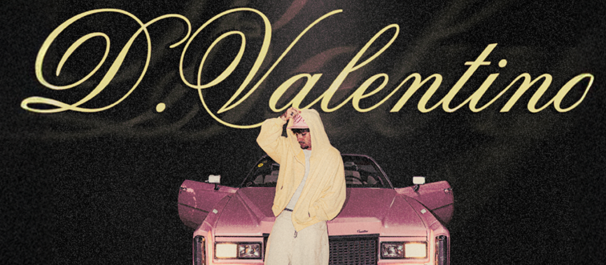 Cartel D. Valentino para la actuación en el Roig Arena