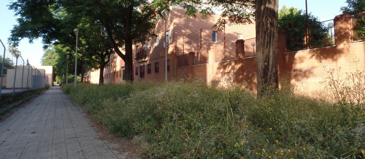 Una calle del Polígono Guadalquivir (Córdoba)
