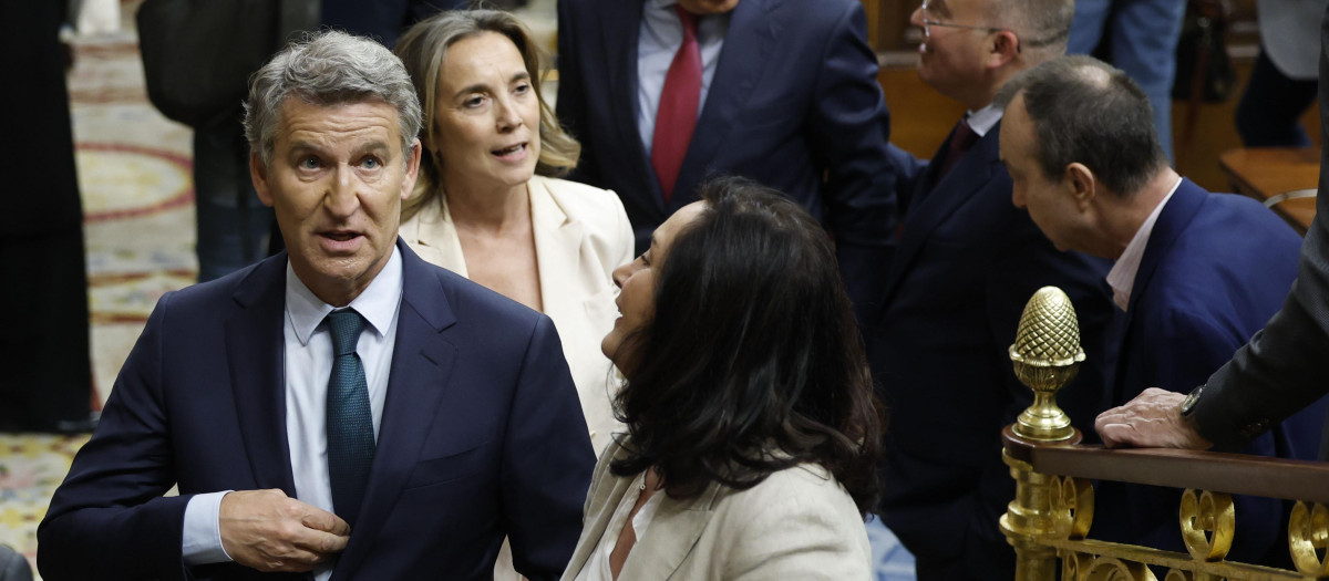 Alberto Núñez Feijóo abandona el hemiciclo acompañado de varios diputados del PP